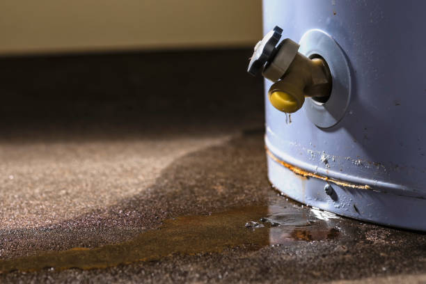 Best Water damage restoration specialists  in Troy, MO