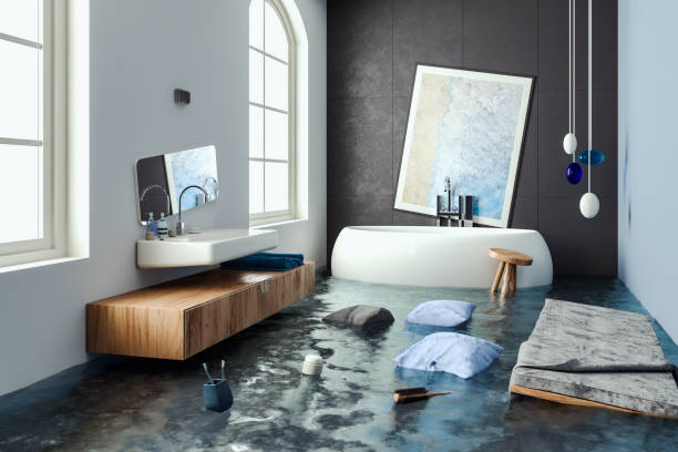 Best Water damage contractors near me  in Troy, MO
