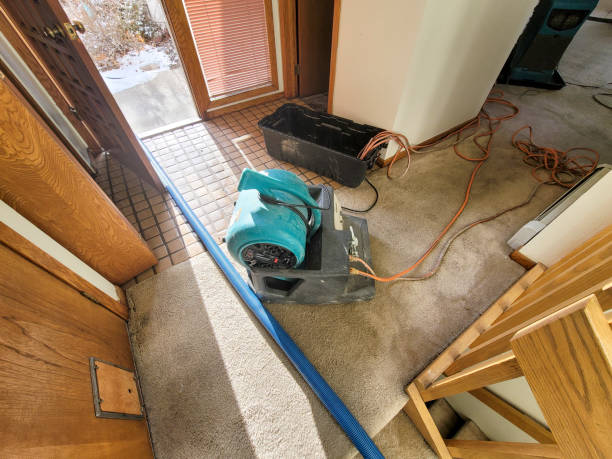 Best Residential water damage restoration  in Troy, MO