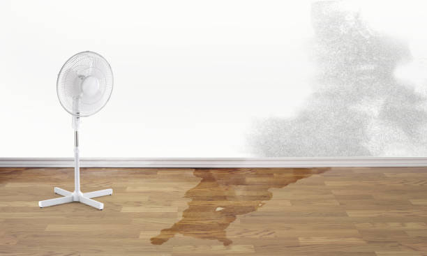 Best Sewage cleanup and water damage restoration  in Troy, MO