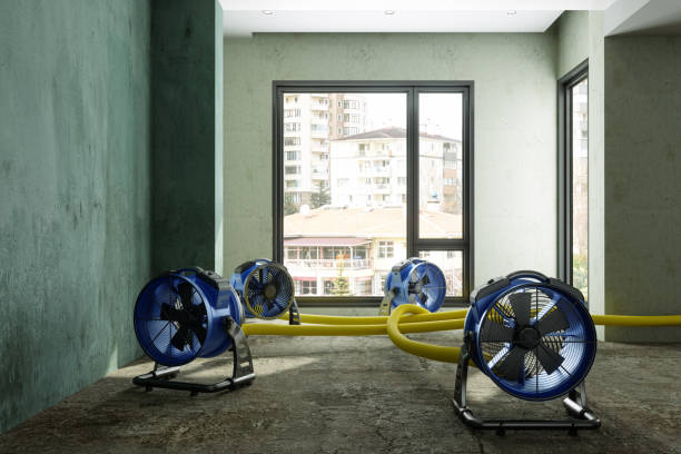 Best 24/7 water damage repair  in Troy, MO